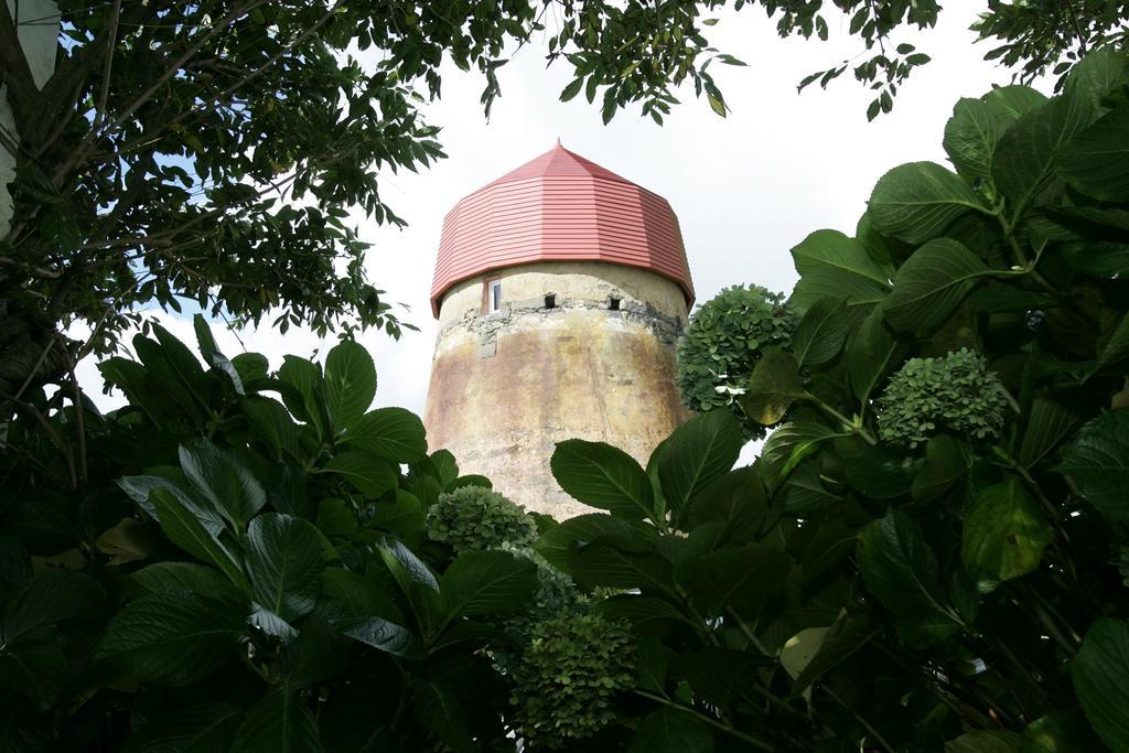 Villa O Moinho Da Bibi Candelária Exterior foto